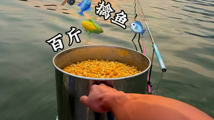 ข้าวโพดร้อยกิโล จับปลา!