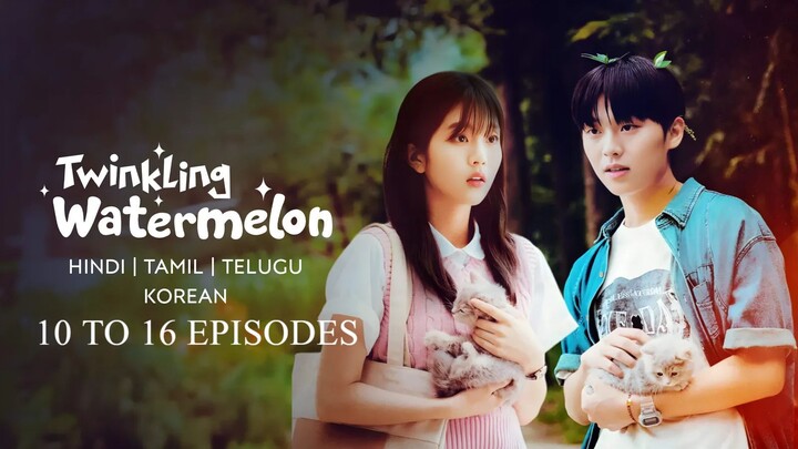 Twinkling Watermelon Hindi Dubbed ( 10 - 16) END