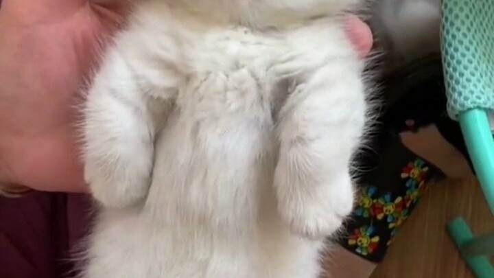 Holding you in the palm of my hand