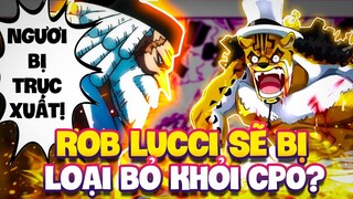 ROB LUCCI SẼ BỊ TRỤC XUẤT KHỎI CP0?! | LUCCI VỀ PHE MŨ RƠM?!