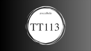 TT113