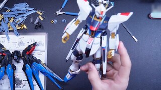 Which one is better in Strike Freedom? Can the vegetarian group also make people laugh?