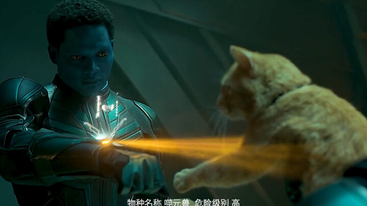 # لا تدع الجاذبية تخدع عينيك أبداً، اتضح أن عينيه أصبحتا معاقتين بهذه الطريقة!