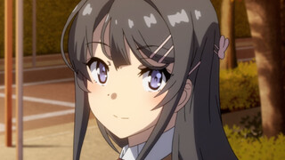 ตัวละครอนิเมะนับสามสิบหกตัวที่พากย์เสียงโดยนักพากย์ Seto Asami