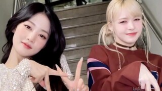 娃爻！【Minnie+Lily】Super Lady梦幻联动cha！