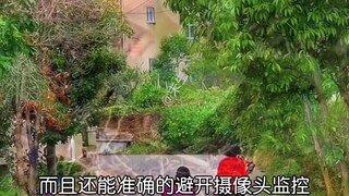 "Hoa linh lan bị hủy diệt trong chớp mắt" Không ai quan tâm đến hoa linh lan trong mười năm, nhưng m