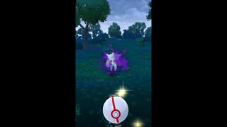 Pokémon GO-Shadow Alolan Vulpix