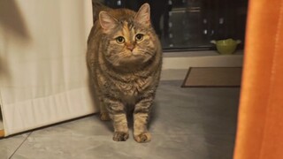 Did you call me over because dinner is ready?