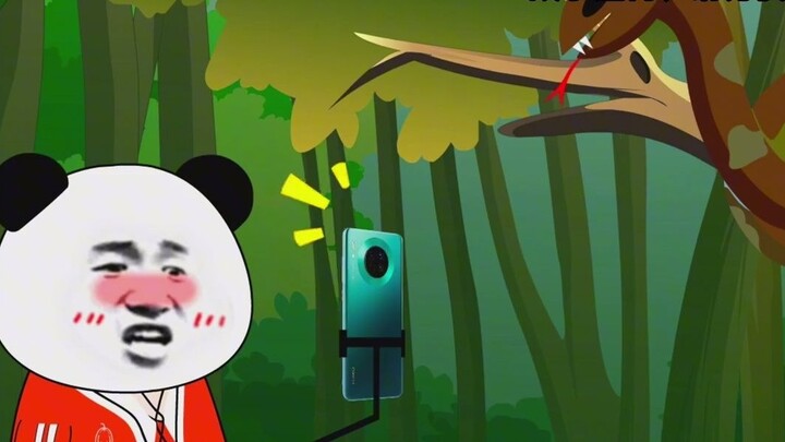 Episode 1｜If you are bitten by a five-step snake, what will happen if you take five steps back? #Ori
