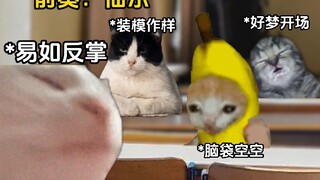 当你考英语听力时#真实还原#英语听力#气泡男声#香蕉猫