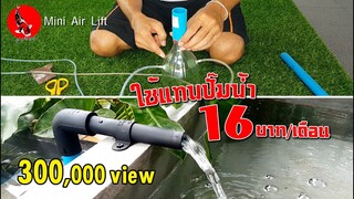 มินิแอร์ลิฟท์บ่อปลาทอง ใช้แทนปั๊มน้ำค่าไฟถูกเว่อ  Mini Air Lift DIY l คุณพ่อคราฟ EP.27