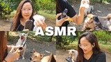 ASMR OUTDOORS น้องหมารีวิวอาหาร เสียงธรรมชาติ🌻 Dog Eating Sounds | Nature Sounds | Thai Whispers🇹🇭