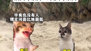 别国母亲河VS我国母亲河.