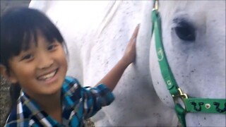 自然马术训练 Basic Groundwork & Horsemanship