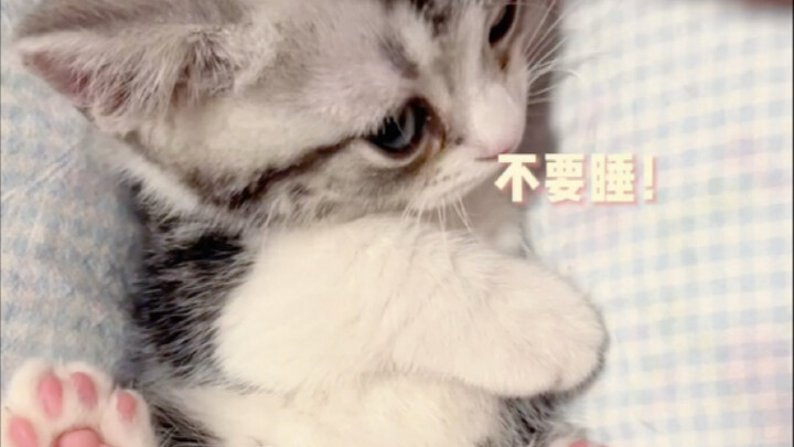 Hidung kecil yang lucu