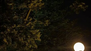 ketenangan batin
