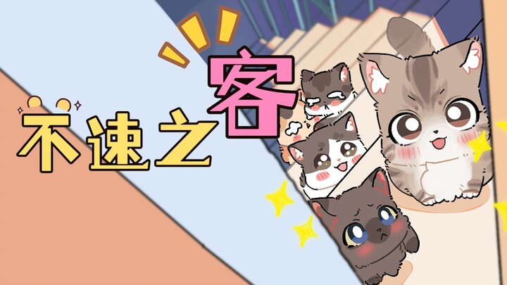 救了一只猫之后，竟然发生这种事？？