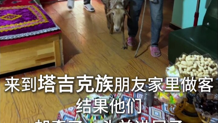 Khi tôi đến nhà bạn tôi ở Tân Cương