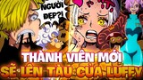 TOÀN LÀ MỸ NHÂN LÊN TÀU MŨ RƠM?! | NHỮNG NGƯỜI CHUẨN BỊ LÊN TÀU CÙNG LUFFY