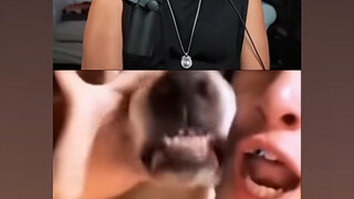 【噶啦鹅】更新啦，赶紧来围观吧！