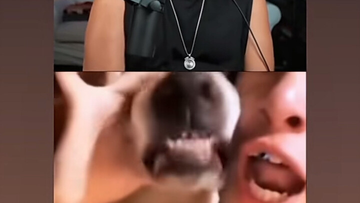 【噶啦鹅】更新啦，赶紧来围观吧！