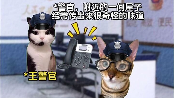 算命顺带破了个案？1+2