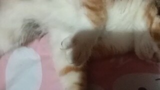 My little Aris/#CreatorBoost