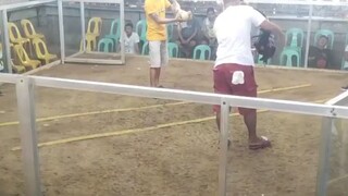 bulik 1x winner namin, bilog talaga ang bola patay na tumabla pa .