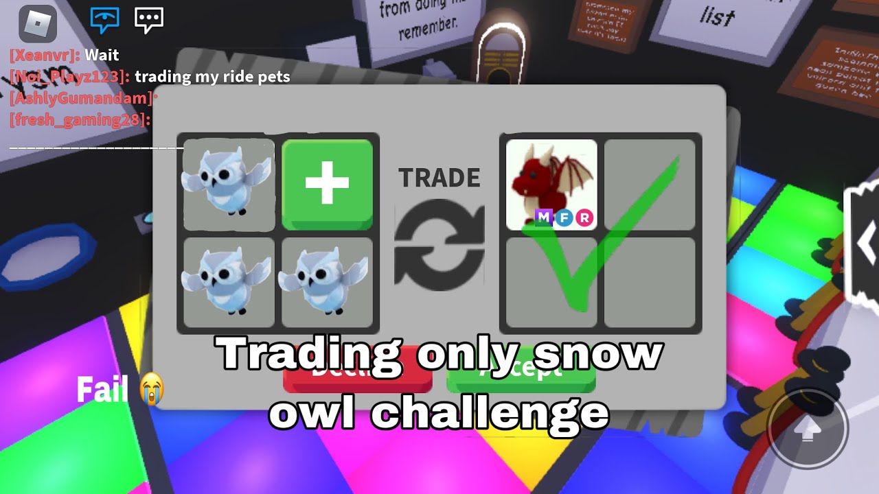 Owl, Trade Roblox Adopt Me Items