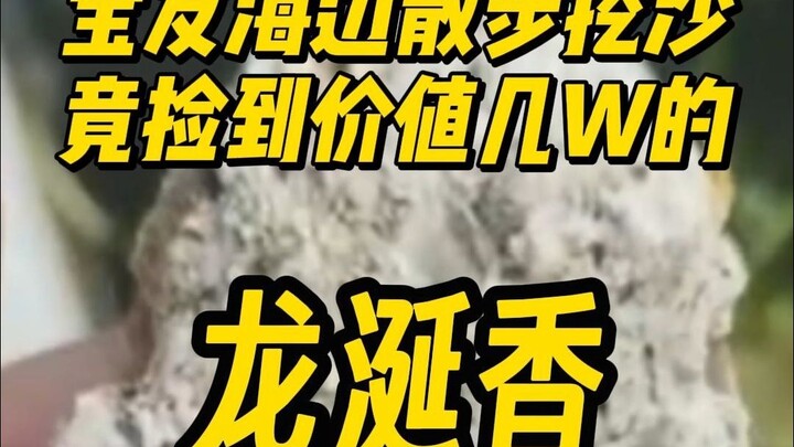 A treasure hunter strolls along the beach and digs in the sand—only to stumble upon ambergris worth 