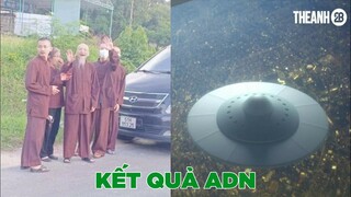 Kết quả ADN ông Lê Tùng Vân - Top comments.