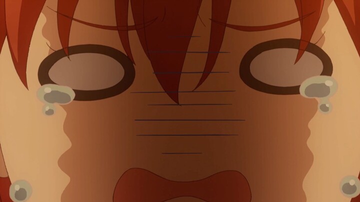 【Shield Girl】The contrasting cute guild leader, introduction to the personality characteristics of t