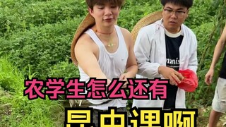 I'm looking forward to what kind of insects the agricultural students will catch in their insect spe