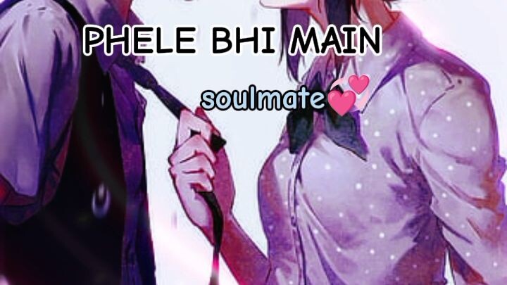 PHELE BHI MAIN (animal movie song) lo-fi slowed  + revab