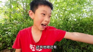 该打打该锤锤