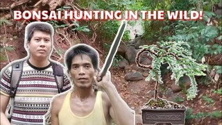 BONSAI HUNTING IN THE WILD | PAANO MAG-BONSAI NG SAMPALOK | Tenrou21