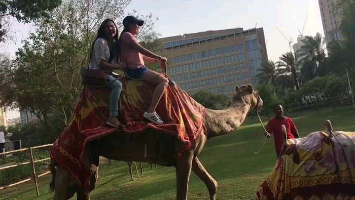 camel ride