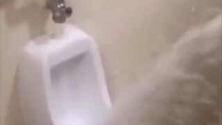 ⚡小  作  坊  下  猛  料⚡