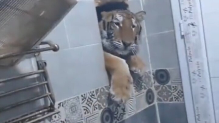 هل هذا البرص؟