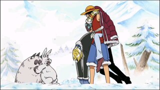 Kebaikan Luffy menolong kelinci salju☺