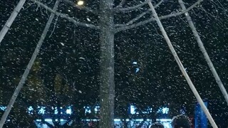 สาวทะลุนิยาย ฉีกพล็อตเก่า_ นางเอกไม่ต้องทนทุกข์ เมียน(720P_