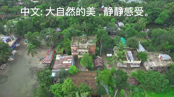 大自然的美，静静感受。#viral, #trending, #foryou, #nature