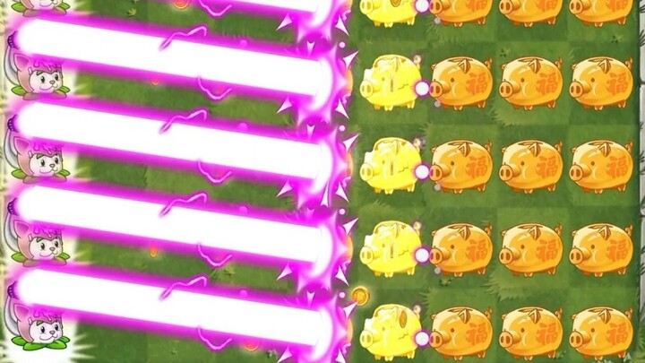 1 baris berbagai tanaman setinggi badan di tanah vs. 8 baris celengan emas.