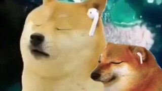 cheems and doge listen to music