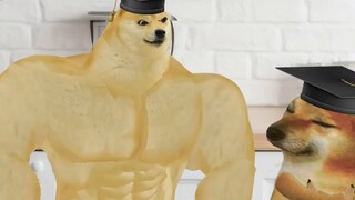 Before college graduation VS After college graduation