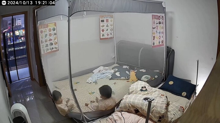 انتهى الأمر لباربي، ناموسة بنشيسي أصبحت بلا وظيفة!