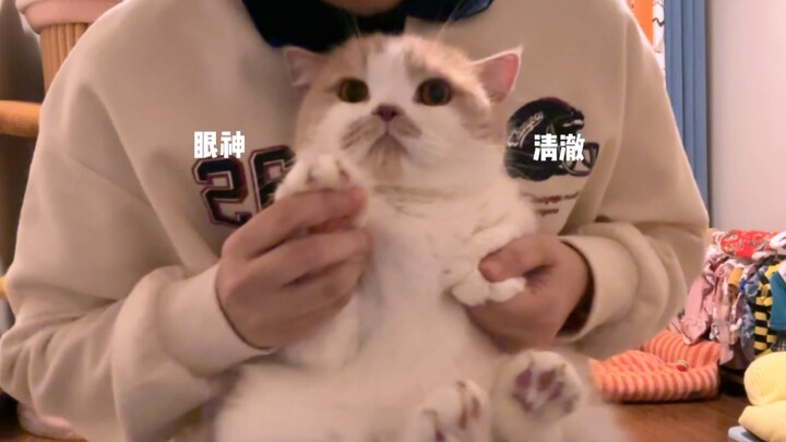 够了！钵钵鸡已经在我脑袋里唱一天了！！！