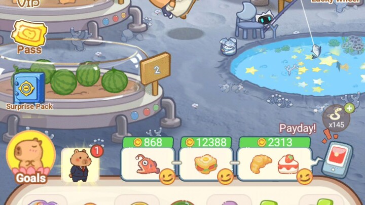 HappyCapy6 22