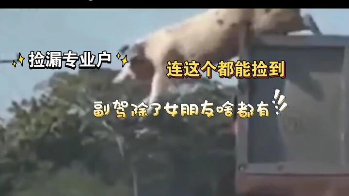 คนสุดท้ายขำตายแล้ว! ฮ่าๆๆๆๆ!