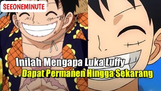 Inilah Alasan Luka Dibawah Mata Kiri dan Dada Luffy Bisa Permanen Hingga Saat Ini || One Piece